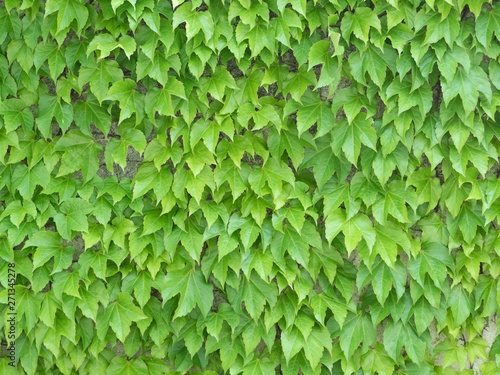 Wyniki Wyszukiwania Decoplanet Pl