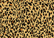 Leopard skin pattern design. Leopard print vector illustration background. Wildlife fur skin design illustration for print, web, home decor, fashion, surface, graphic design