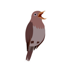 Poster - Little Nightingale Bird, Cute Birdie Home Pet Vector Illustration