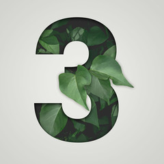 nature concept. creative number with green leaves on a gray background. creative typography, chapter