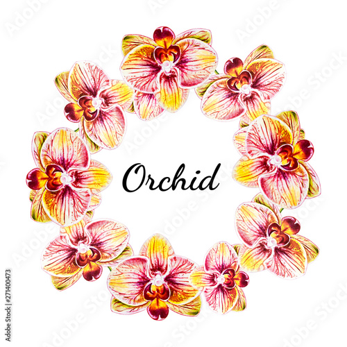 Beautiful  wreath from orchid flowers. Watercolor painting. Exotic plant. Flo...