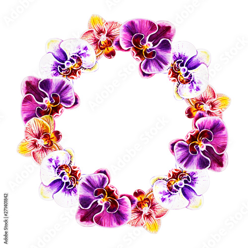 Beautiful  wreath from orchid flowers. Watercolor painting. Exotic plant. Flo...