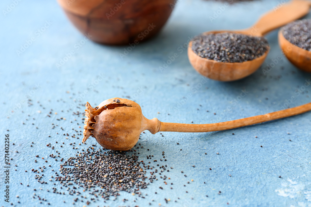 Dry poppy head on table