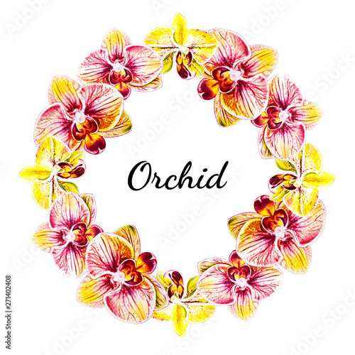 Beautiful  wreath from orchid flowers. Watercolor painting. Exotic plant. Flo...