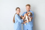 Fototapeta  - Veterinarians with cute dog on light background