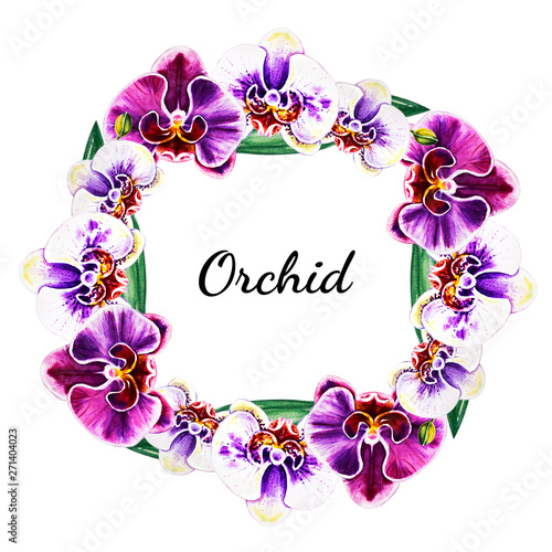 Beautiful  frame from orchid flowers. Watercolor painting. Exotic plant. Flor...