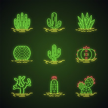 Wild Cactuses In Ground Neon Light Icons Set