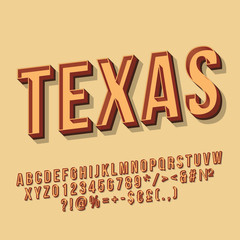 Wall Mural - Texas vintage 3d vector lettering