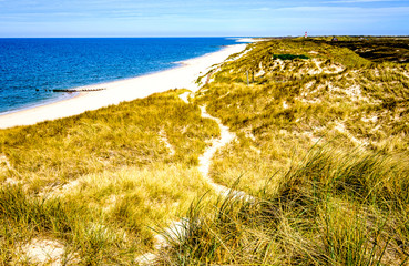 Wall Mural - sand dune