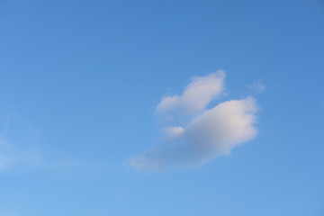 Sticker - Blue sky and Cloud wallpaper background