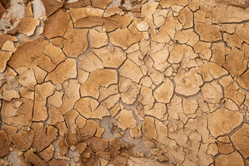 Dry cracked earth