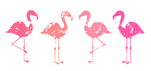Wall Mural - group of abstract pink flamingos shapes isolated on white background.