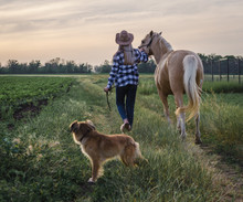 Young Blonde Girl In A Hat And A Plaid Shirt Walks With A Horse And Dog On A Farm In The Village