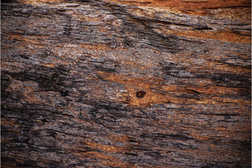 Wood Texture 2