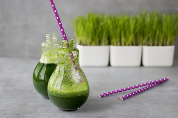 Wheatgrass shot. Juice from wheat grass and green grass of wheat. Trend of health food.