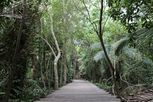 On Pulau Ubin (singapore