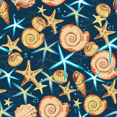 Poster - Marine life seamless pattern, seashells and starfish background