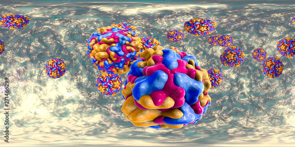 360 degree panorama view of Rhinoviruses, the viruses which cause ...