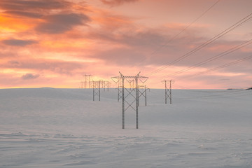 Powerlines in Snow