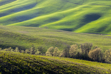  green fields and hills in Tuscany