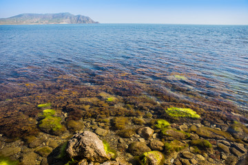 Sticker - Beautiful view of the seashore with stones under water