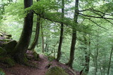 Fototapeta Krajobraz - Felsenwanderweg Rodalben
