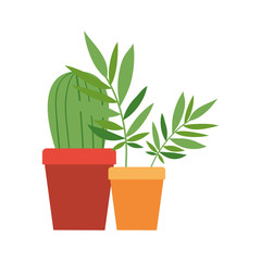 Wall Mural - houseplant with potted isolated icon