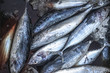 © subjob - Fish market in Asia. Catching sea and ocean animals in the Indian Ocean. Tuna on shelves for sale. Exotic background