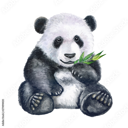 Cute panda with bamboo isolated on white background Canvas Print
