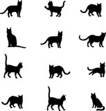 Fototapeta Koty - cats pattern, vector, art, black cats, monochrome,  black, white, contour, silhouette, animals, set, isolated, kitten, kitty, cat trail, clip art, picture, style design, décor, interior, illustration