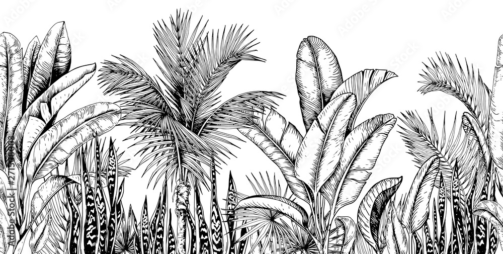 Seamless horizontal line with tropical palm trees, banana leaves and snake plants. Black and white. Hand drawn vector illustration. - obrazy, fototapety, plakaty 