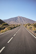 © MaciejBledowski - Scenic road with Mount Teide in background, color toning applied, Teide National Park, Tenerife, Spain.