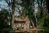 Fototapeta Las - Old wooden shed surrounded by high trees