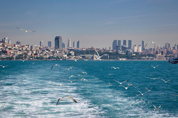 Sticker - Boat, sea, seagulls and the city of Istanbul