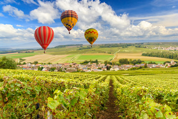 Wall Mural - Colorful hot air balloons flying over champagne Vineyards at sunset montagne de Reims, France