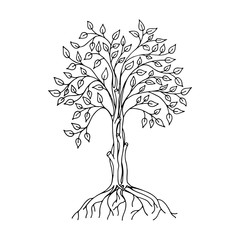 isolated hand drawn ficus tree sketch.