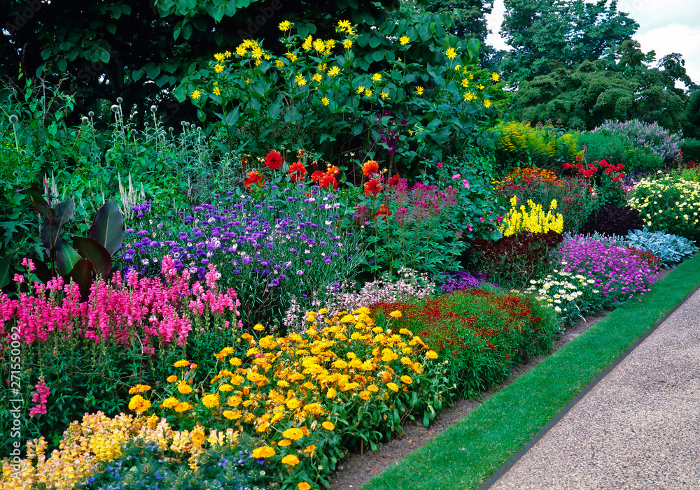 Blocks of colour with mixed planting in a long sunny border in a country garden - obrazy, fototapety, plakaty 