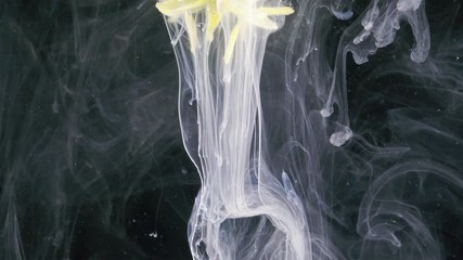 Wall Mural - Yellow blooming Forsythia flowers. Liquid art.