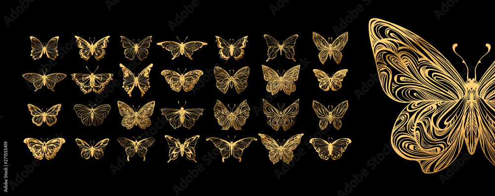 Set of butterflies, ink silhouettes. Glowworms, fireflies and butterflies icons isolated on white background. Hand drawn elements, Vector illustration. - obrazy, fototapety, plakaty 