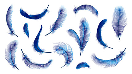 vector feathers collection, set of different falling fluffy twirled feathers, isolated on transparen