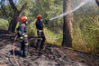 © Aydan - two forest firefighters fighting whit a fire