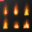 Realistic burning fire flames vector 