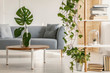 © Photographee.eu - Close-up of plants in modern living room