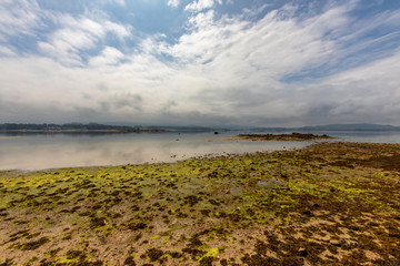 Wall Mural - low tide