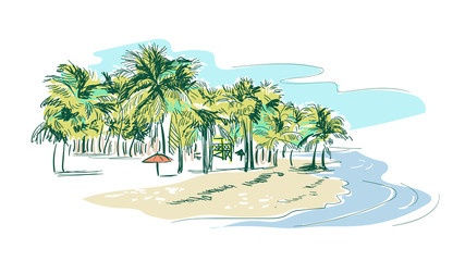 Wall Mural - palm beach vector sketch landscape line illustration skyline