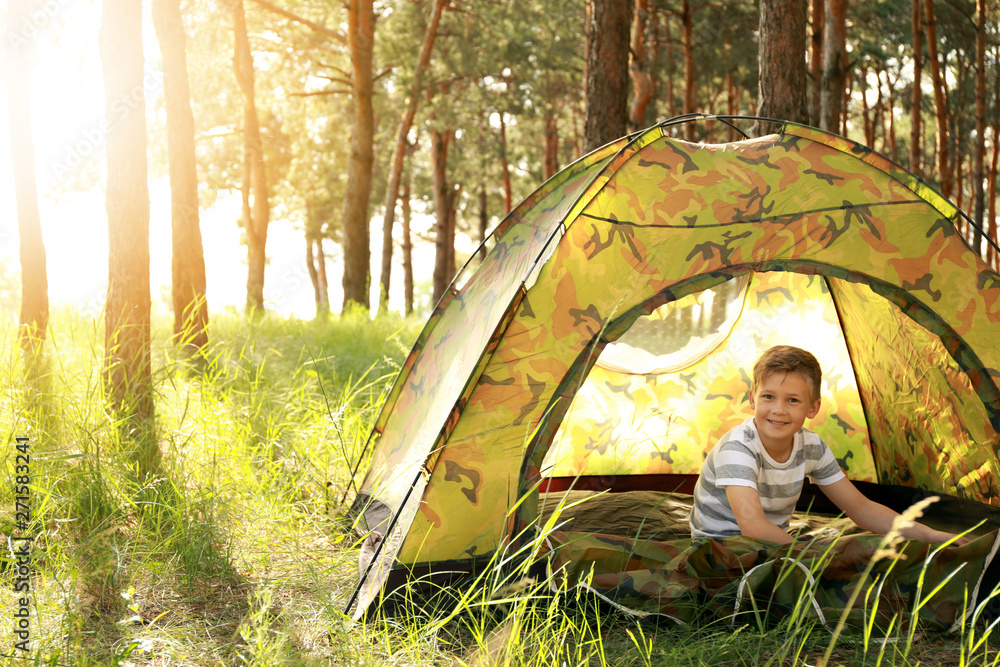 Little boy in camping tent on summer day