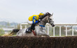 Race horse and jockey jumping a hurdle on the race track