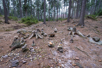 Canvas Print - Cairns lef by tourists in Mount Ostas reserve in Table Mountains, part of Broumovsko Protected Landscape Area in Czech Republic