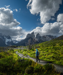 woman hiker walks on the trail among the burnt trees with snow capped mountains on the background. t