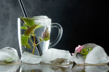 Cup of medicinal nettle tea with nettle and ice leaves on black background and water dust